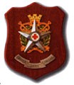 C1